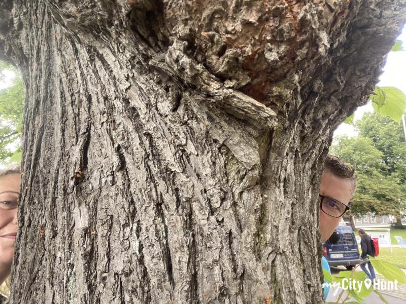 myCityHunt Scavenger Hunt 9