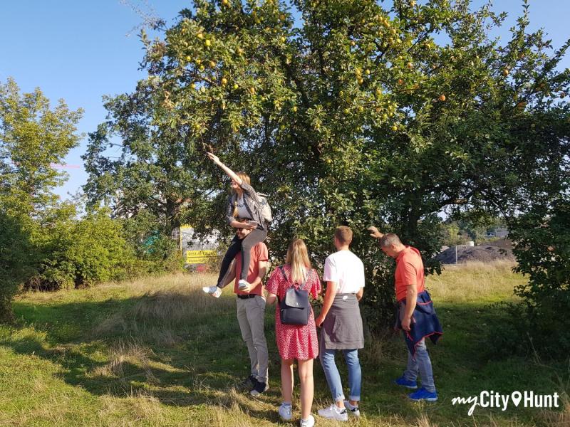 myCityHunt Scavenger Hunt 14