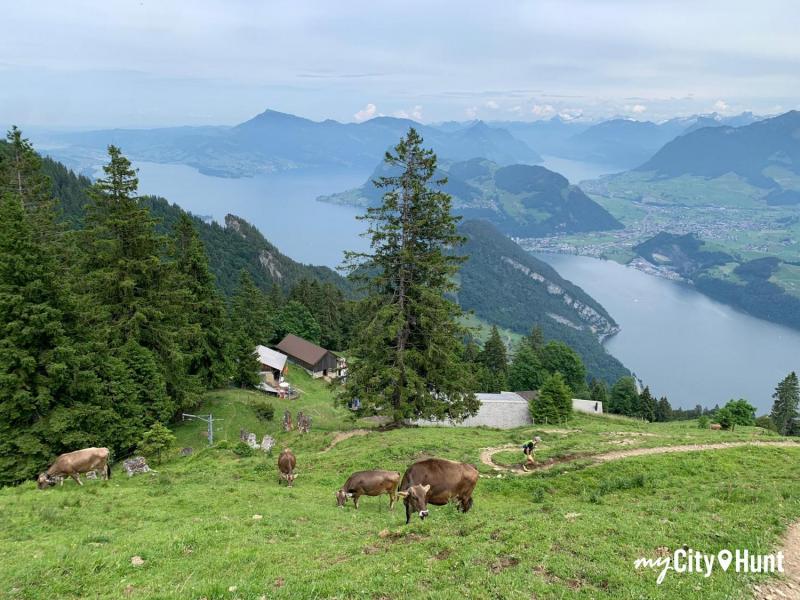 myCityHunt Scavenger Hunt 15