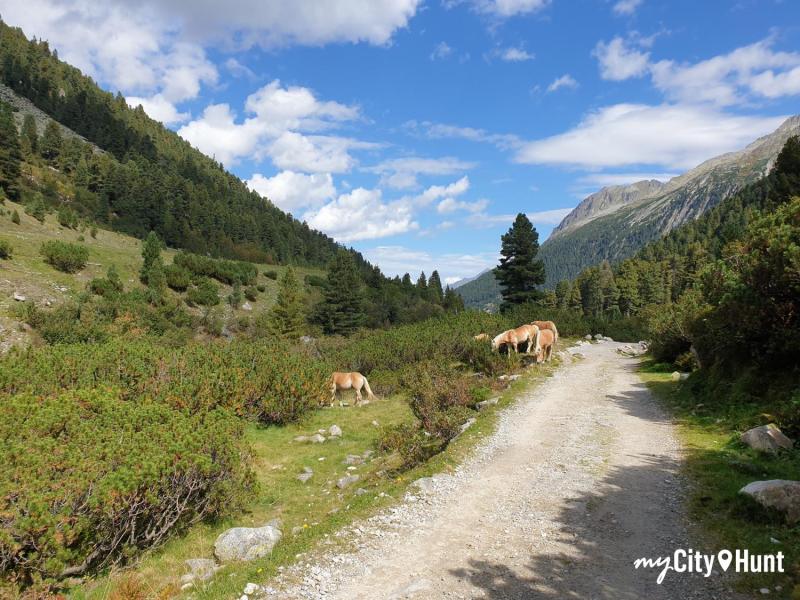 myCityHunt Scavenger Hunt 10