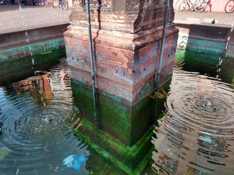 myCityHunt Scavenger Hunt 11