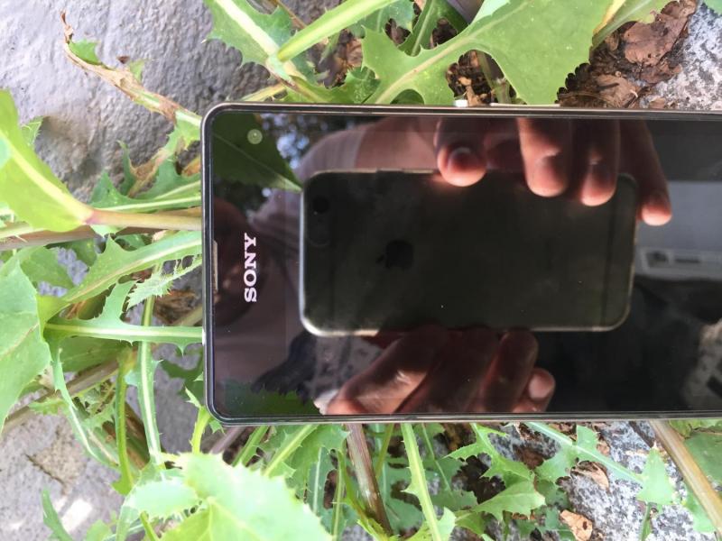 myCityHunt Scavenger Hunt 11