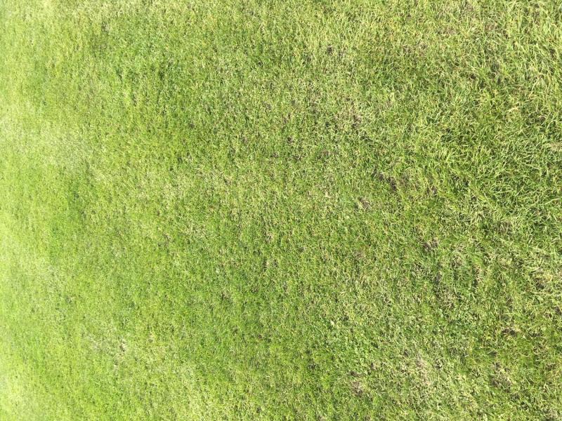 myCityHunt Scavenger Hunt 14